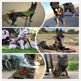Tactical Dog Harness
